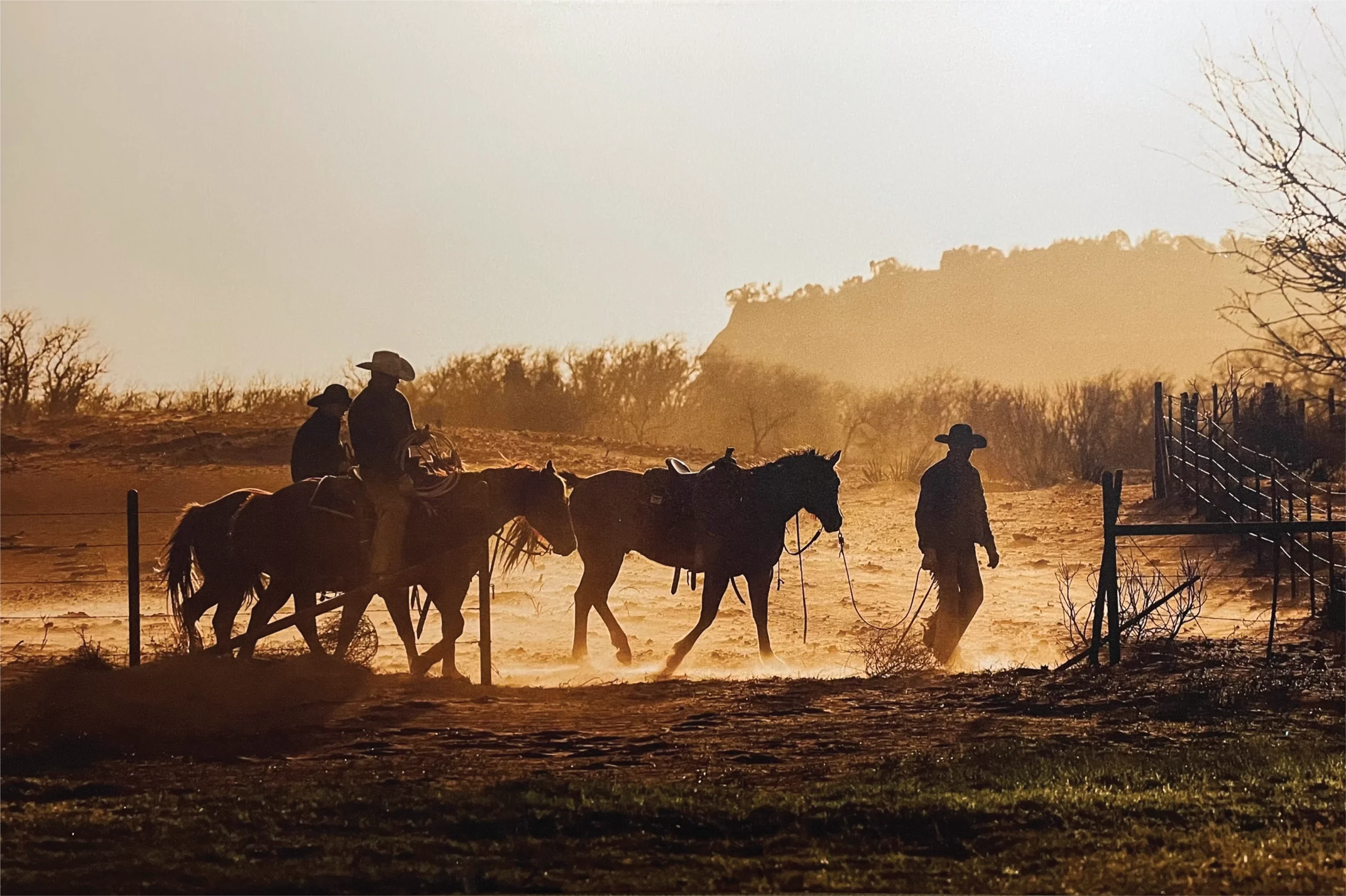 Faces of the West: The Horsemen & Women who Cowboy the Plains by Rachel Sebastion